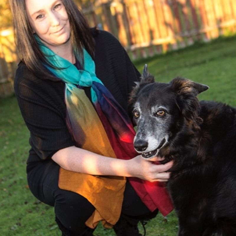 Lee Herron Dumfries And Galloway Canine Rescue Centre Dedicated To